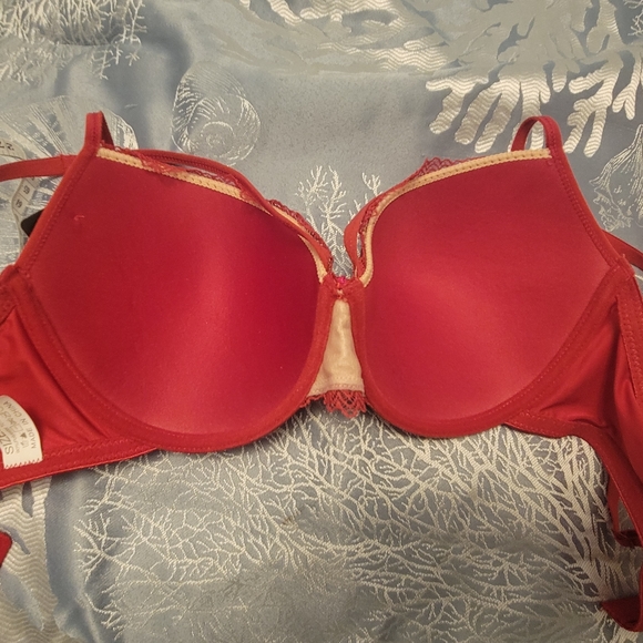 Dainafang Deep Red with Satin Lace and Fine Silver Stitching Bra and Panty set - Picture 12 of 13